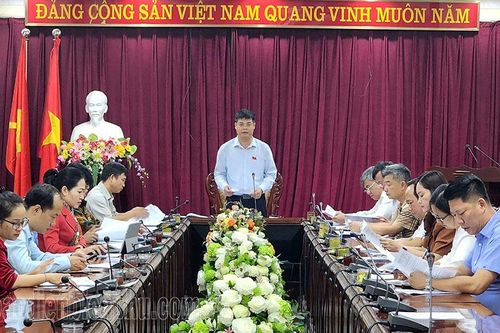 Ban Văn hóa - Xã hội thẩm tra dự thảo Nghị quyết trình kỳ họp thứ 12, HĐND tỉnh khóa XV