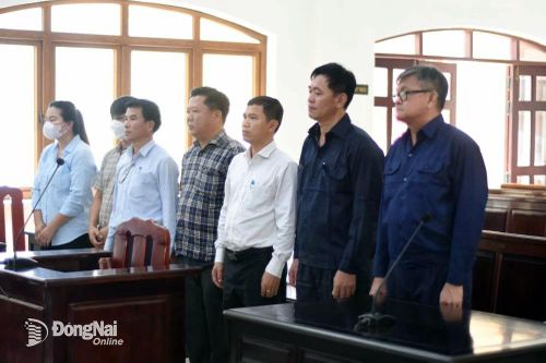 Tiếp tục hoãn phiên tòa phúc thẩm xét xử vụ lấy đất công cấp cho tư nhân ở xã Bình Sơn do vắng mặt bị hại và giám định viên