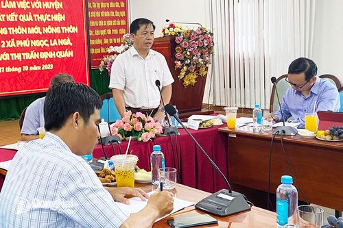 Khắp nơi trong tỉnh chiều 31-10-2023