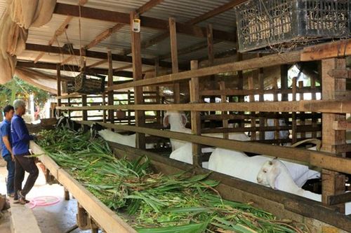 Chăm lo tốt đời sống hội viên Cựu chiến binh