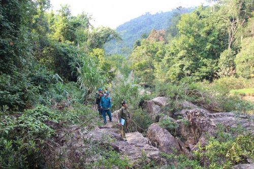 Chương trình mục tiêu quốc gia phát triển kinh tế - xã hội vùng đồng bào dân tộc thiểu số và miền núi tỉnh Khánh Hòa năm 2023 Nỗ lực triển khai chính sách giao khoán bảo vệ rừng