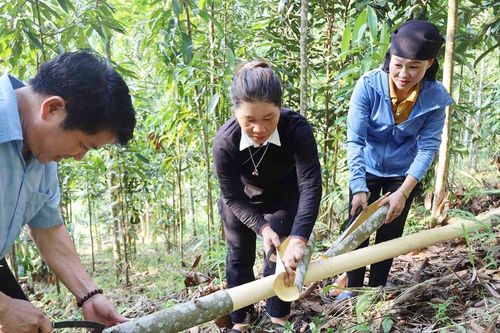 Bắc Hà sau hơn nửa nhiệm kỳ thực hiện nghị quyết đại hội đảng bộ các cấp