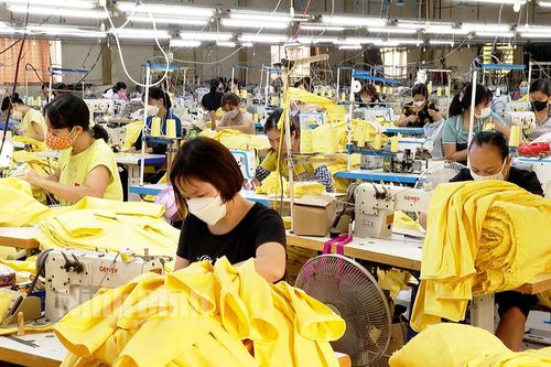 Gia Viễn: Nhiều giải pháp để đảm bảo việc làm, thu nhập cho người lao động