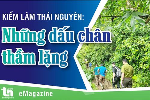 Kiểm lâm Thái Nguyên: Những dấu chân thầm lặng