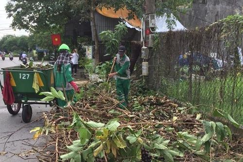 Đề xuất tiền thu gom rác thải khoảng 44 nghìn đồng/hộ/tháng