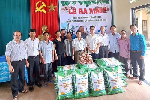 Thành lập Tổ Hội nông dân nghề nghiệp trồng củ riềng