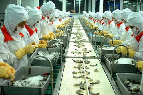 Thủy sản Minh Phú lại có quý bị lỗ trong năm 2023
