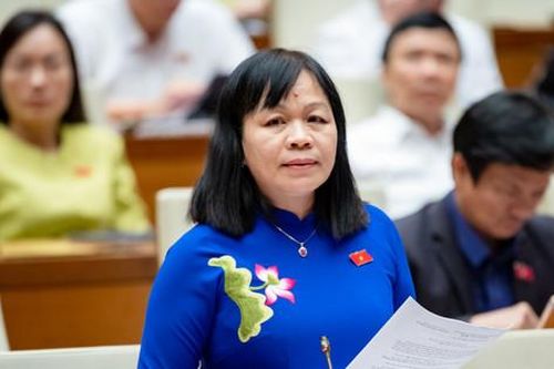Tranh luận việc giao Bộ Giáo dục và Đào tạo biên soạn một bộ sách giáo khoa