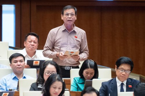 ĐBQH đề xuất một 'cách làm khác' để bảo vệ cán bộ dám nghĩ, dám làm