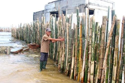 Nỗi lo sạt lở bờ biển trong mùa mưa bão ở Quảng Nam