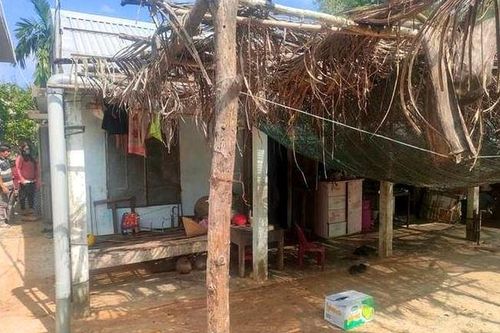 Cháu bé 1 tuổi bị trâu húc tử vong thương tâm