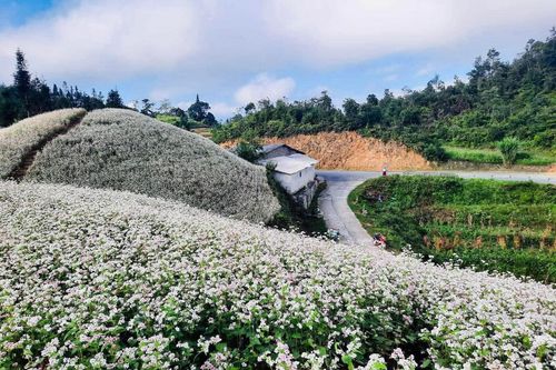 Phê duyệt đề án thu phí tham quan Cao nguyên đá Đồng Văn