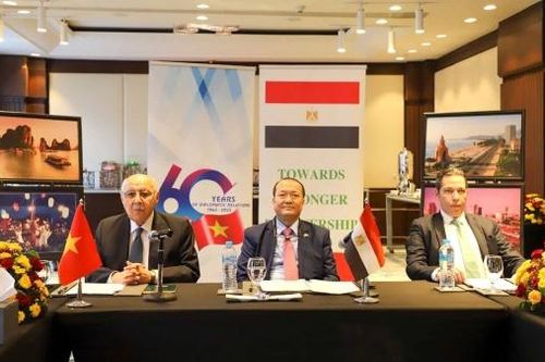 Việt Nam-Ai Cập: Trao đổi kinh nghiệm thu hút tài chính xanh