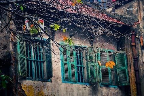 Gió mùa về...
