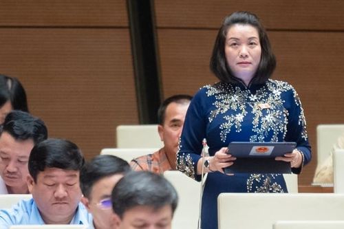Đại biểu Quốc hội 'hiến kế' cho Chính phủ chặn đứng tình trạng 'lạm thu' trong giáo dục