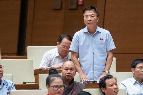 Thường xuyên tiến hành rà soát văn bản quy phạm pháp luật