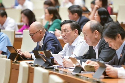 Đại biểu Quốc hội: 'Rất nhiều vấn đề chưa rõ vì văn bản'