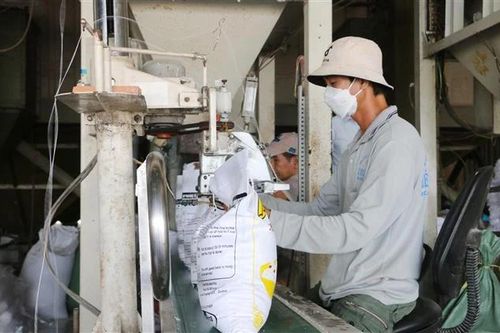 Việt Nam-Mông Cổ ký kết bản ghi nhớ về thương mại gạo bền vững