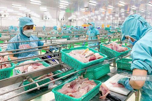 Tập đoàn Sao Mai báo lãi quý thấp nhất kể từ đầu năm