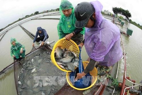Tiếp thêm sức cho hộ kinh doanh