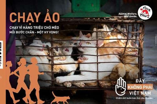 Hơn 16.000 người tham gia giải chạy trực tuyến 'RUN FOR MILLIONS'