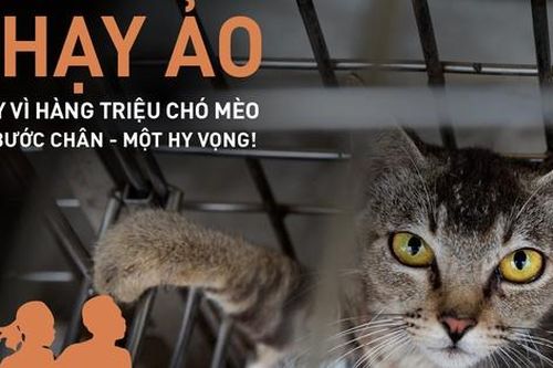 Hơn 16.000 người chạy trực tuyến kêu gọi chấm dứt buôn bán thịt chó, mèo