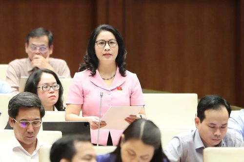 Nhiều đại biểu quan tâm tới lĩnh vực giáo dục