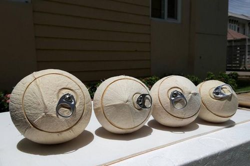 Mặt hàng trái cây nào chuẩn bị gia nhập 'câu lạc bộ' xuất khẩu tỷ USD?