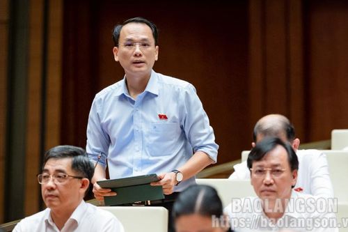 Kỳ họp thứ 6 Quốc hội XV: Đại biểu Quốc hội tỉnh phát biểu tranh luận ý kiến về vấn đề biên soạn bộ sách giáo khoa mới