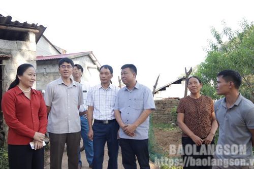 Thường trực Thành ủy kiểm tra tiến độ xây dựng nông thôn mới kiểu mẫu tại xã Hoàng Đồng