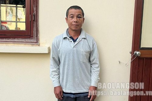 Người gây tai nạn làm 1 người tử vong tại huyện Chi Lăng rồi bỏ trốn khỏi hiện trường đã ra cơ quan công an đầu thú