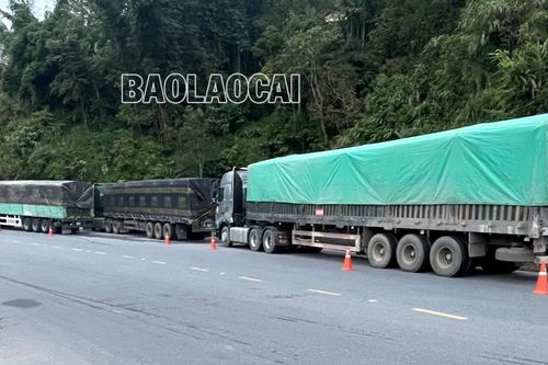 Xử phạt 3 xe chở quá tải vượt 200% lưu thông trên Quốc lộ 4D (Lào Cai – Sa Pa)