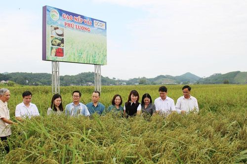 Phú Lương mở hướng phát triển toàn diện