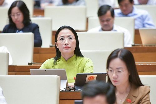 Đại biểu Lê Thanh Vân (Cà Mau): 'Cái áo thể chế đã quá chật hẹp'