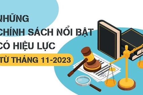 Những chính sách mới có hiệu lực từ tháng 11/2023