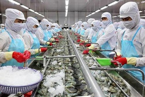 Cần đánh giá lại triển vọng của nhóm cổ phiếu thủy sản?