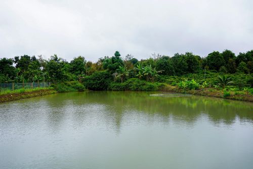 Đăk Lăk ứng phó hạn hán nông nghiệp từ các ao chống chịu khí hậu