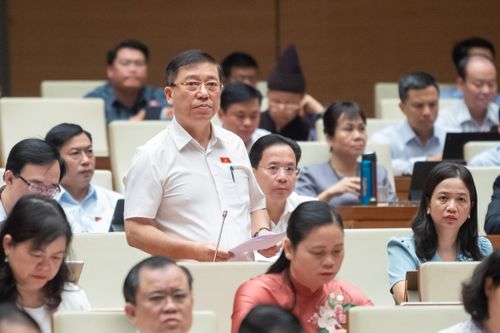 Đại biểu Quốc hội: 'Đừng để sầu riêng trở thành sầu chung'