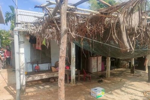 Cháu bé tử vong thương tâm do bị trâu giẫm đạp
