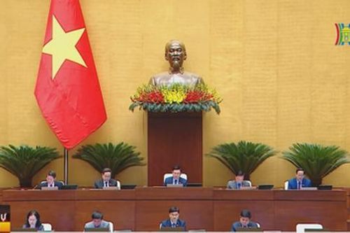 Thiếu hành lang pháp luật quản lý chung cư mini