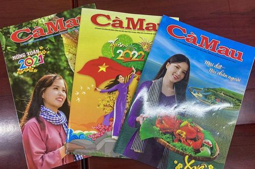 MỜI CỘNG TÁC BÁO XUÂN GIÁP THÌN 2024