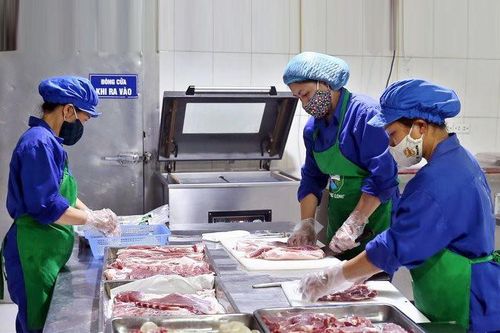 Gỡ khó cho chuỗi liên kết nông sản
