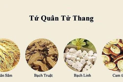 4 bài thuốc hỗ trợ phục hồi di chứng viêm não