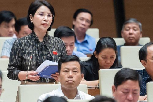 ĐB Quốc hội: Quy định xuất vốn đầu tư công trình y tế còn bất cập
