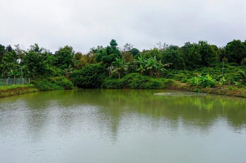 Giải pháp ứng phó khô hạn tại miền Trung - Tây Nguyên