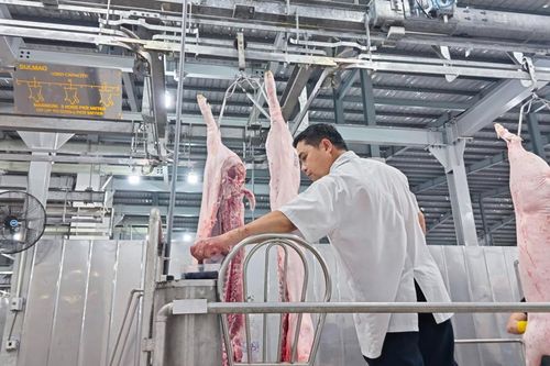 Xuất khẩu thịt và sản phẩm thịt của Việt Nam tăng mạnh