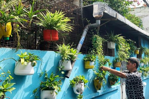 Hành động vì một thành phố xanh: Rác đi, hoa nở