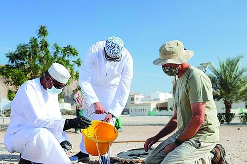 Oman phủ xanh rừng ngập mặn