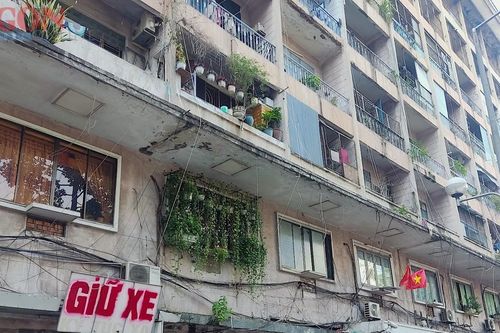 Đề xuất xây mới Bệnh viện Chấn thương chỉnh hình TPHCM trên khu đất hiện hữu