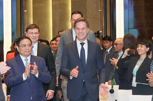 Cùng hợp tác để Việt Nam và Hà Lan cùng trở thành 'rồng xanh'